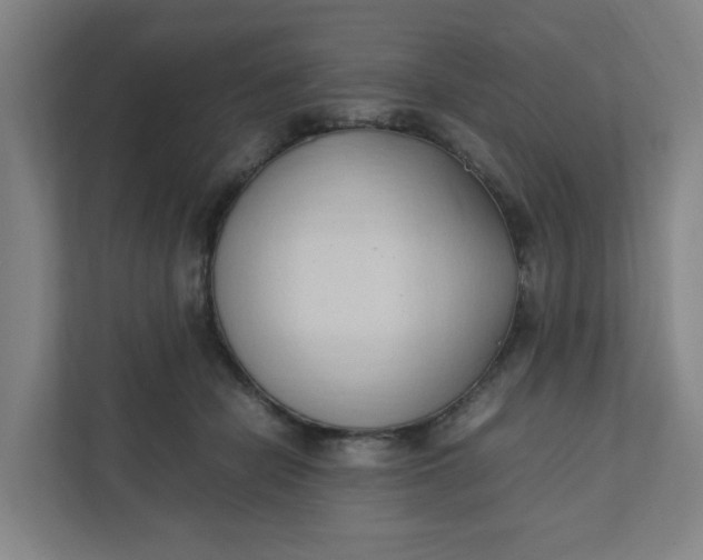 X0000111950462200908101226