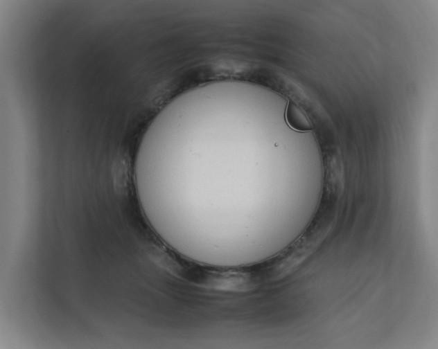 X0000111950463200908101226