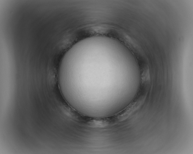 X0000111950464200908101226