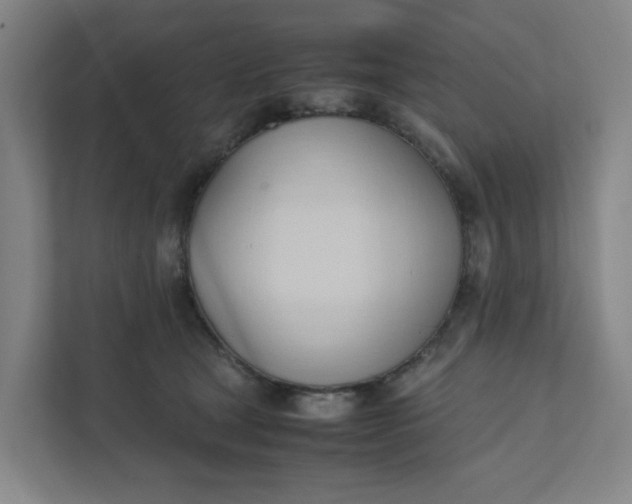 X0000111950465200908101226