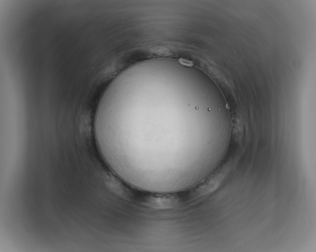 X0000111950466200908101226