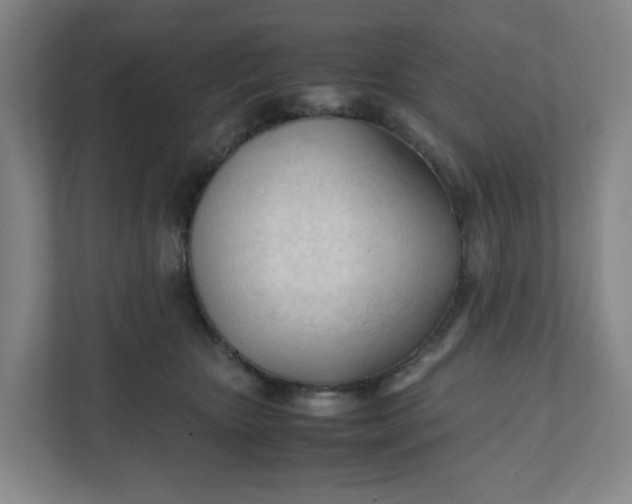 X0000111950467200908101226