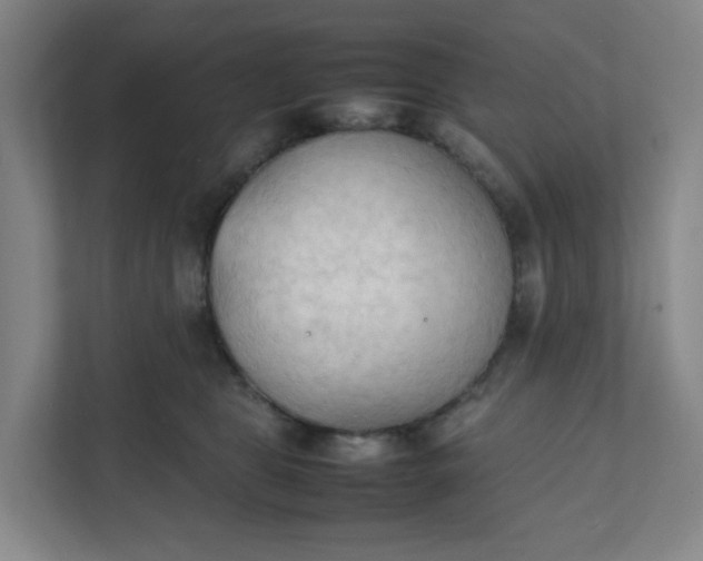 X0000111950469200908101226