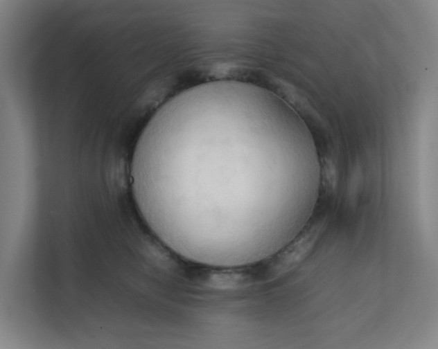 X0000111950470200908101226