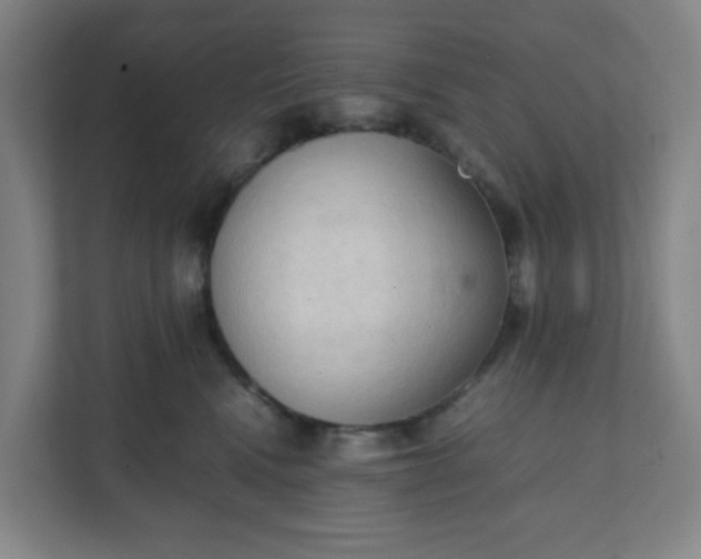 X0000111950472200908101226