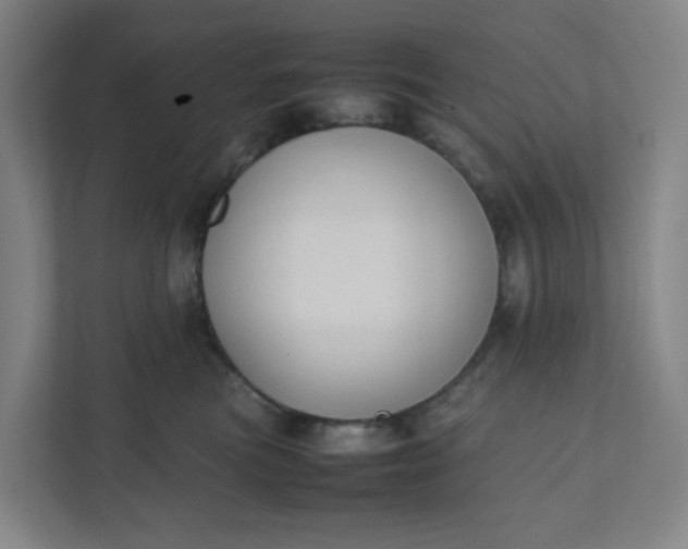 X0000111950473200908101226