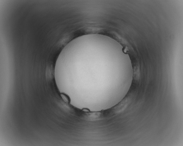 X0000111950474200908101226