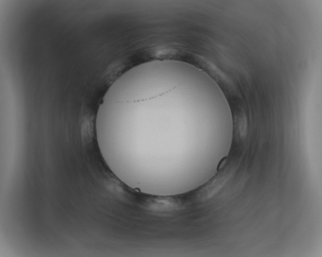 X0000111950475200908101226