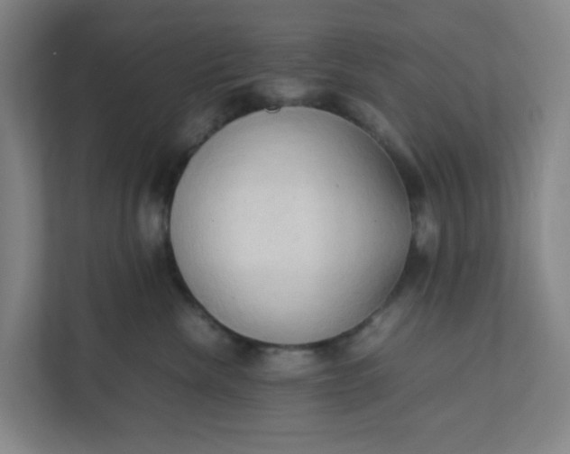 X0000111950476200908101226