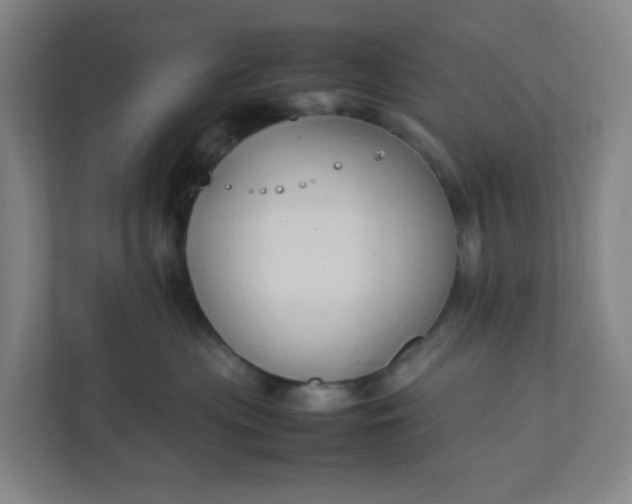 X0000111950477200908101226