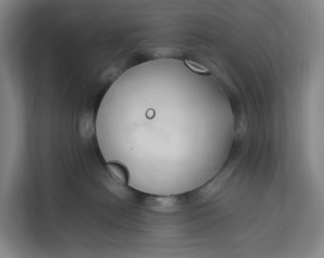 X0000111950478200908101226