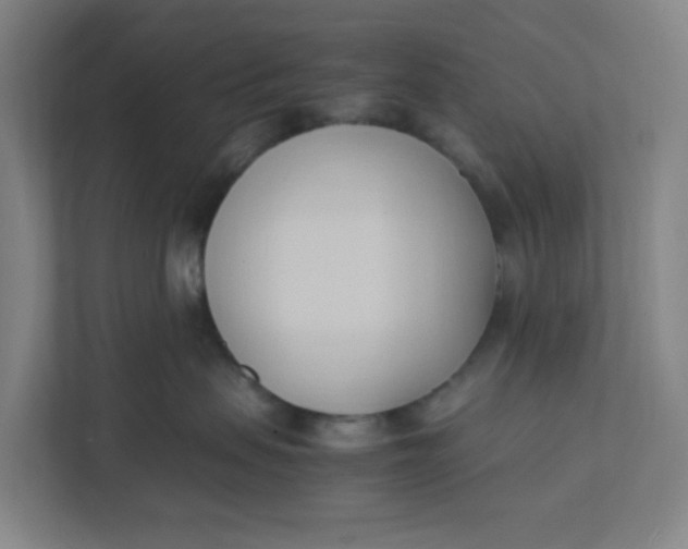 X0000111950479200908101226