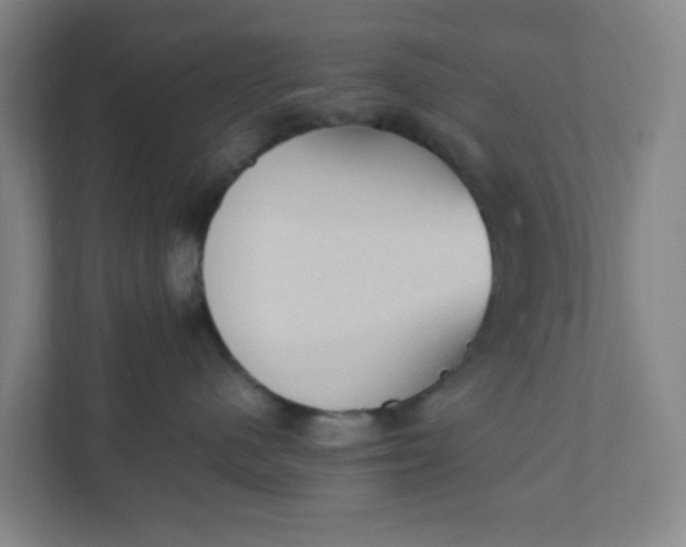 X0000111950480200908101226