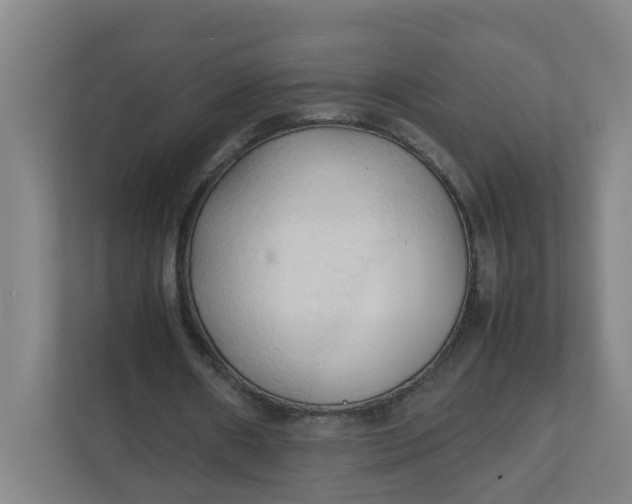 X0000111950482200908101225