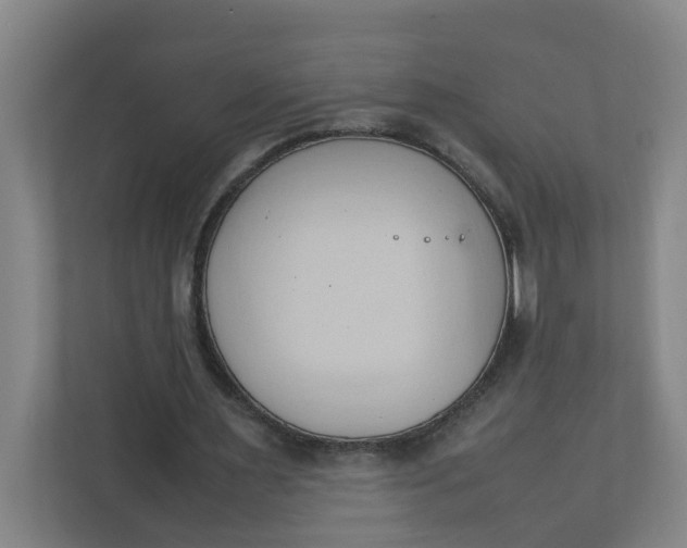 X0000111950483200908101225