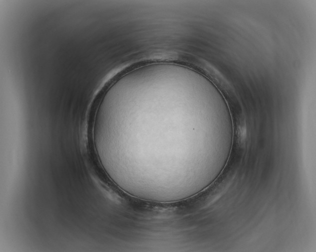 X0000111950484200908101225