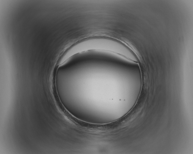 X0000111950485200908101225