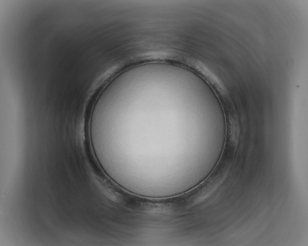 X0000111950486200908101225