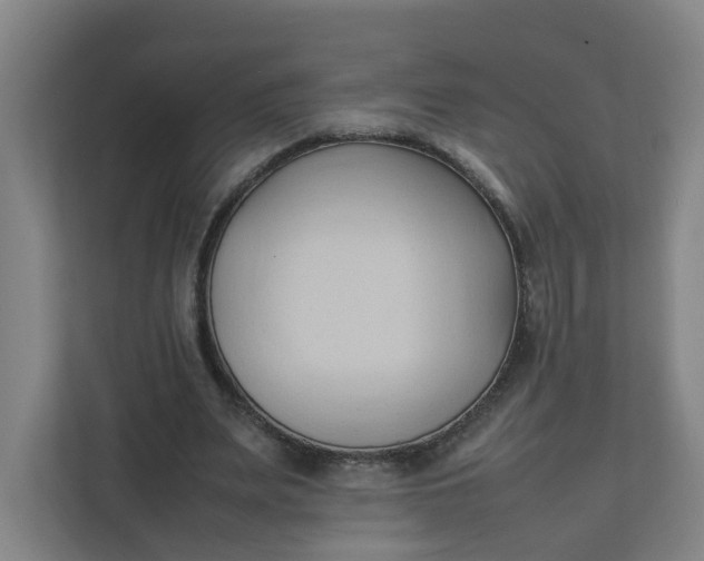 X0000111950487200908101225