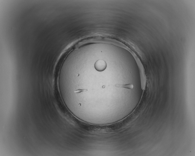 X0000111950488200908101225