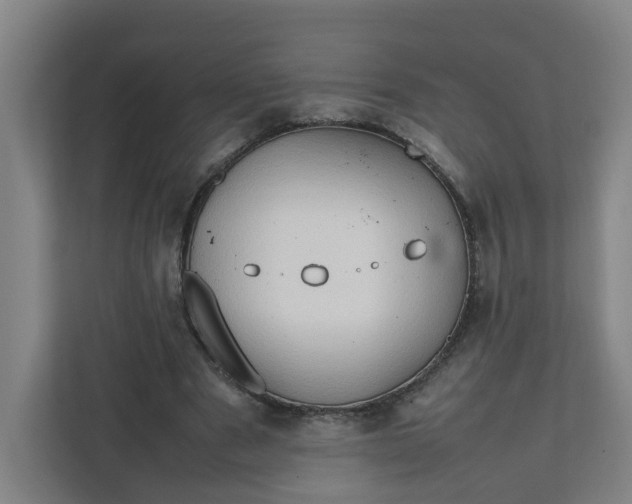 X0000111950489200908101225