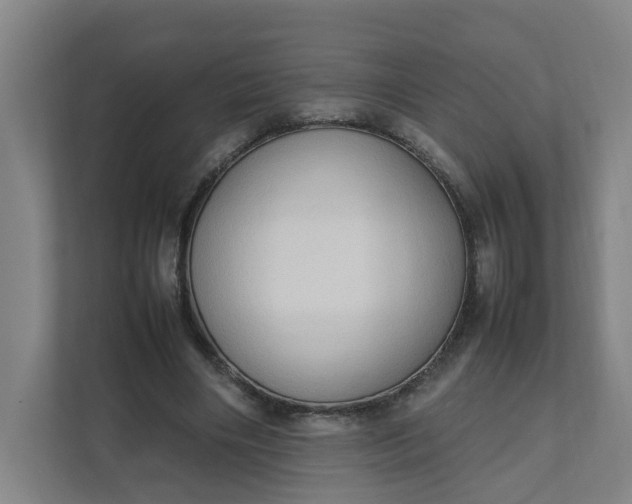 X0000111950490200908101225