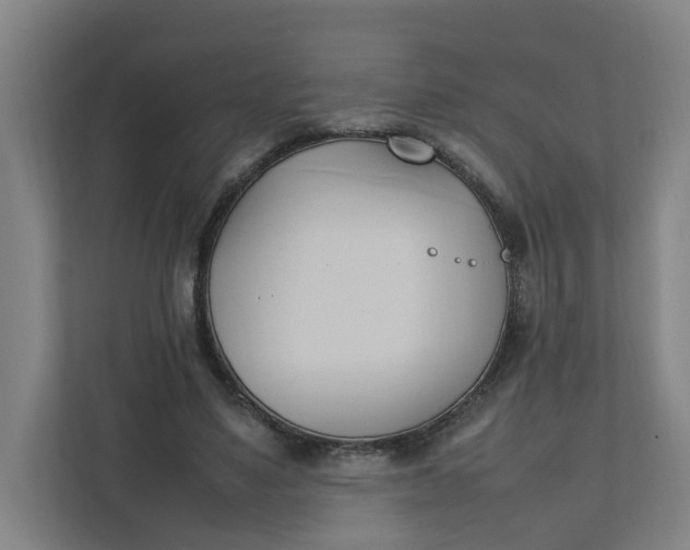 X0000111950491200908101225