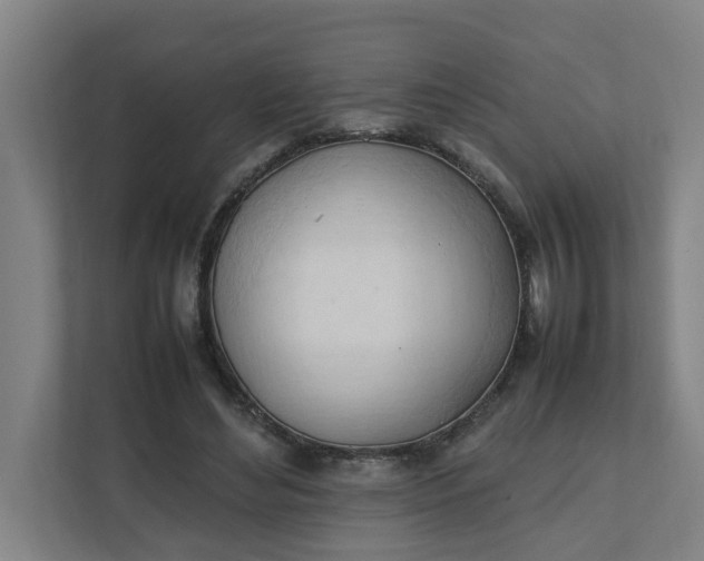 X0000111950492200908101225