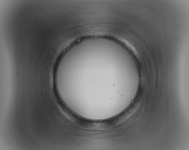 X0000111950493200908101225