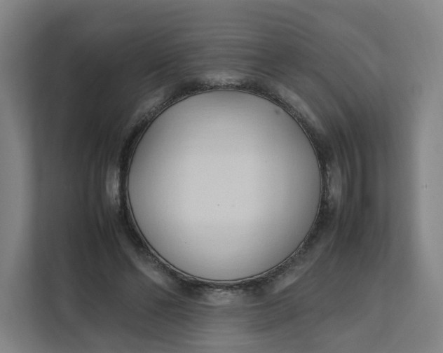 X0000111950494200908101225