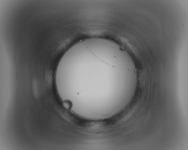 X0000111950495200908101225