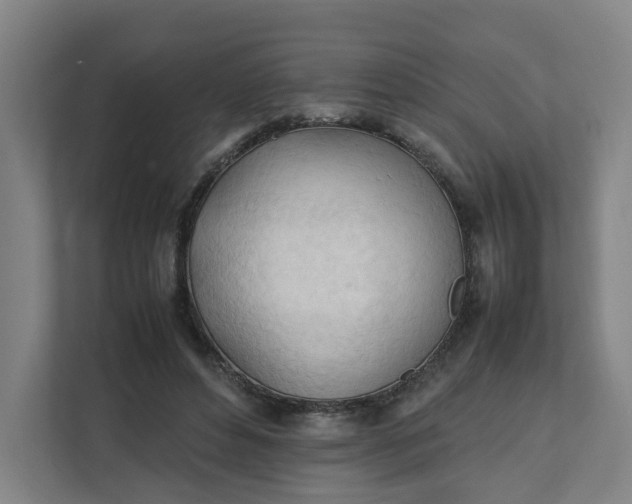 X0000111950496200908101225