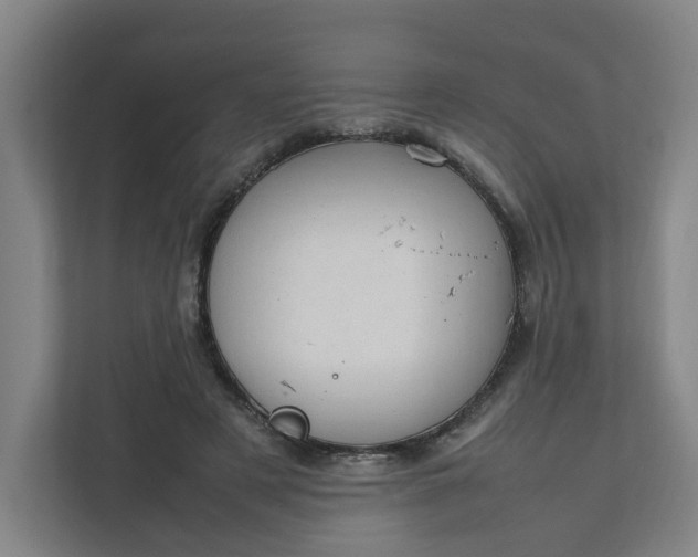 X0000111950497200908101225