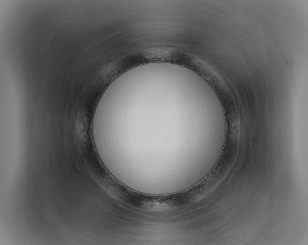 X0000111950498200908101225