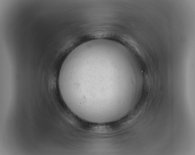 X0000111950499200908101225