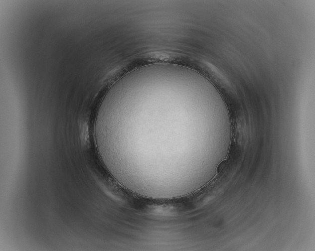 X0000111950500200908101225