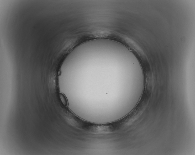 X0000111950501200908101225