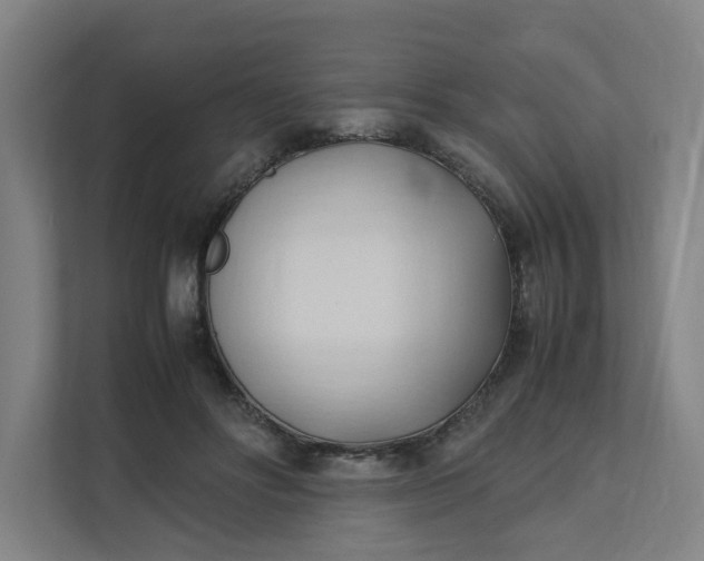 X0000111950502200908101225