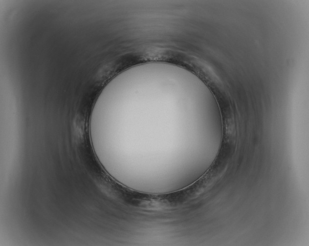 X0000111950503200908101225