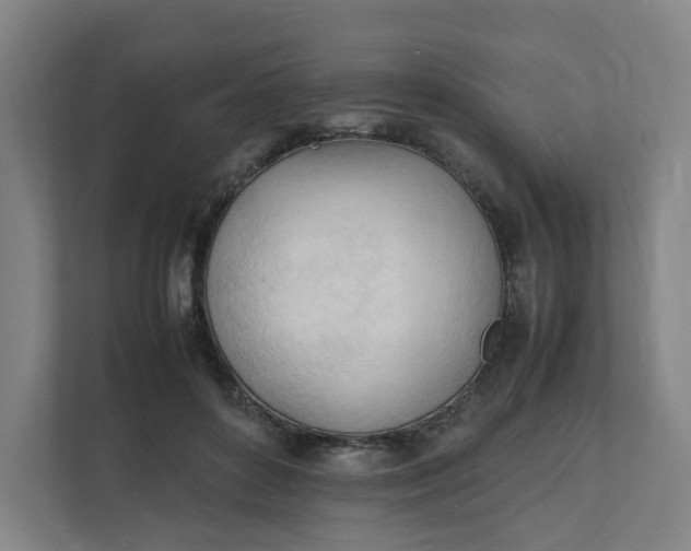 X0000111950504200908101225