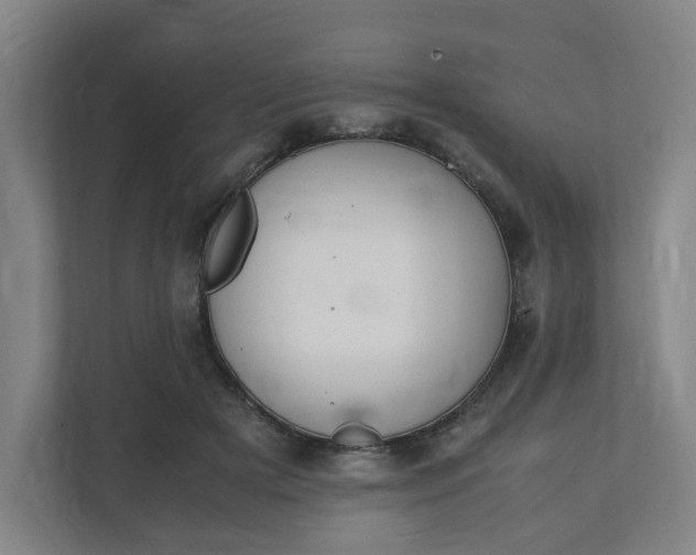 X0000111950505200908101225