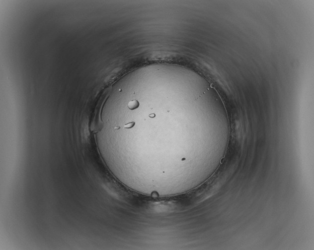 X0000111950508200908101225