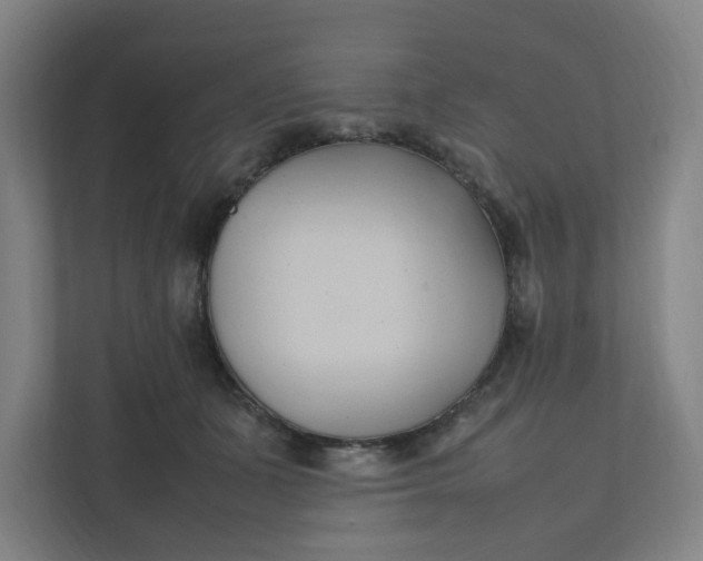 X0000111950511200908101225