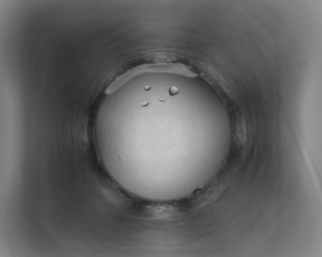 X0000111950512200908101225