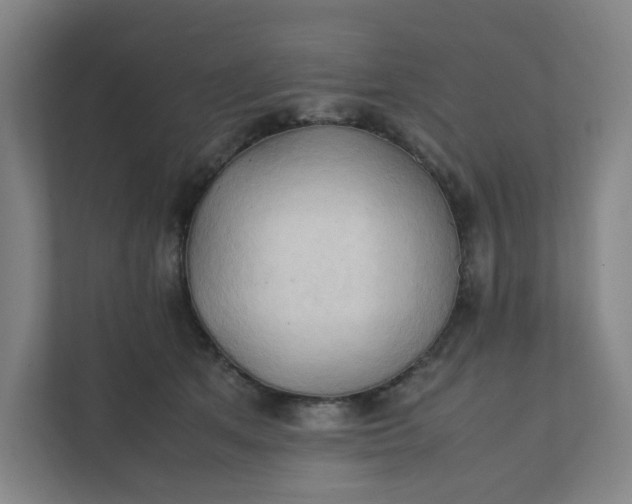 X0000111950513200908101225