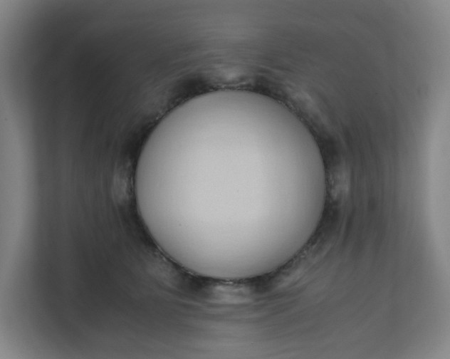 X0000111950515200908101225