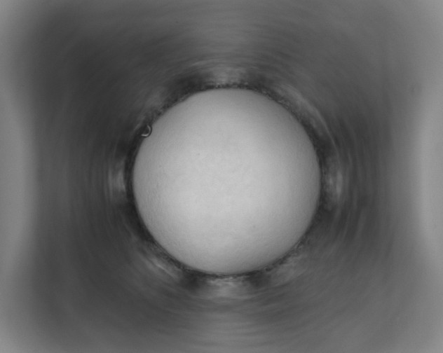 X0000111950516200908101225