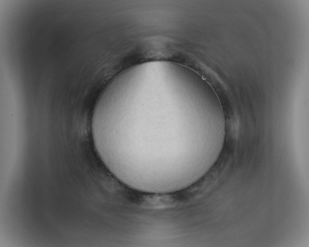 X0000111950517200908101225