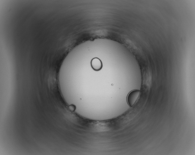 X0000111950518200908101225