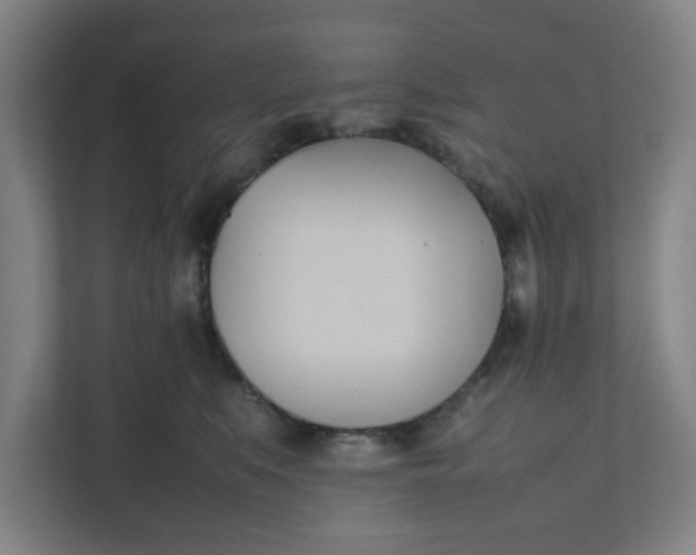 X0000111950519200908101225